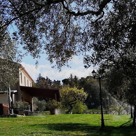 Вилла Agriturismo La Contea Senigallia San Gaudenzio Экстерьер фото